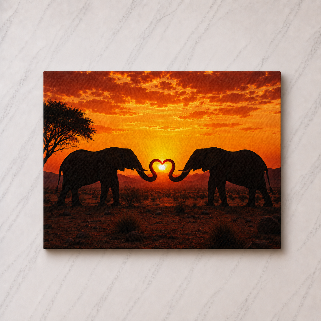 Canvas'